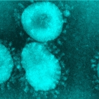 Virusul Chinei. Care sunt simptomele coronavirusului? Ce este coronavirus și unde apare? Covid-19: