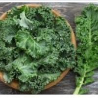 Kale - un vegetal maravilloso: propiedades saludables: