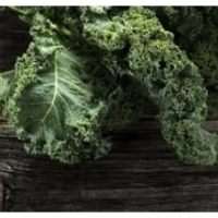 Kale - sayuran yang luar biasa: sifat kesehatan: