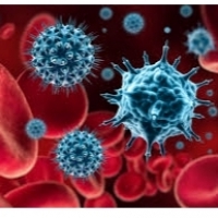 mRNA-1273: Coronavirus txertoa prest dago azterketa klinikorako: 