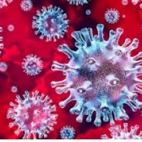 мРНК-1273: Вакцына супраць каранавіруса гатовая да клінічных выпрабаванняў:
