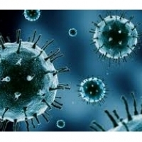 mRNA-1273: Vakcína proti koronaviry připravená pro klinické testování: