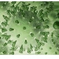 mRNA-1273: Coronavirusrokote valmis kliiniseen testaukseen: