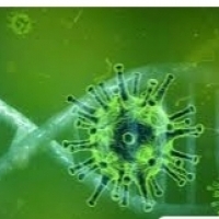 mRNA-1273: Coronavirus ọgwụ dị njikere maka nnwale nke ụlọ ọgwụ: