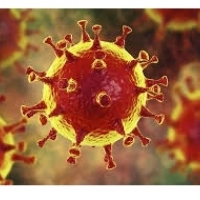 mRNA-1273: Koronavirus vaktsinasi klinik sinovlarga tayyor: