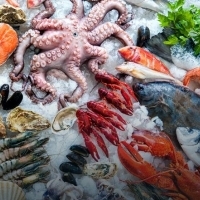 Owoce morza: kraby, krewetki, homary, małże: ostrygi, mule, muszle, kalmary i ośmiornice: