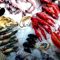 Seafood: crabs, hipon, lobsters, mussels: talaba, mussel, shells, cumi ug pugita: