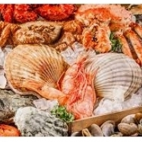 Abincin teku: katako, shrimps, lobsters, mussel: oysters, mussel, bawo, squid da dorinar ruwa: