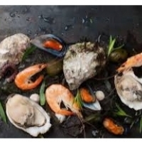 Makanan laut: kepiting, udang, lobster, kerang: tiram, kerang, kerang, cumi-cumi dan gurita: