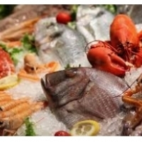 Makanan laut: ketam, udang, lobsters, kerang: tiram, kerang, cangkang, sotong dan sotong: