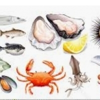 Sjømat: krabber, reker, hummer, blåskjell: østers, blåskjell, skjell, blekksprut og blekksprut: