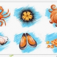 Lijo tsa leoatleng: makhala, shrimps, lobster, mussels: oysters, mussels, likhetla, squid le octopus: