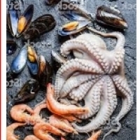 Skaldjur: krabbor, räkor, hummer, musslor: ostron, musslor, skal, bläckfisk och bläckfisk: