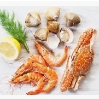 Deniz ürünleri: yengeçler, karidesler, ıstakozlar, midye: istiridye, midye, kabuk, kalamar ve ahtapot:
