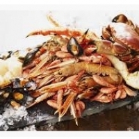سمندری غذا: کیکڑے ، کیکڑے ، لابسٹرز ، کستیاں: صدف ، کستیاں ، گولے ، سکویڈ اور آکٹپس: