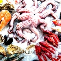 Frutti di mare: granchi, gamberi, aragoste, cozze: ostriche, cozze, conchiglie, calamari e polpi:
