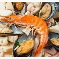 Frutti di mare: granchi, gamberi, aragoste, cozze: ostriche, cozze, conchiglie, calamari e polpi: