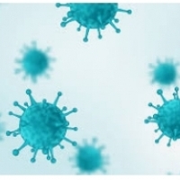 BioNTech, Moderna, curevac, covid-19, coronavirus, vắc-xin: