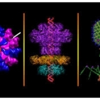 Mmekọrịta ọha na eze, BioNTech, moderna, curevac, covid-19, coronavirus, ọgwụ mgbochi:  20200320AD