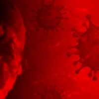 Могут ли люди с группой крови AB0 ​​быть более восприимчивыми к коронавирусной инфекции SARS-CoV-2?