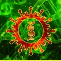 гены, sars-cov-2: восприимчивость к коронавирусу зарегистрирована в нашей ДНК? Генетики отмечают некоторые предрасположенности: