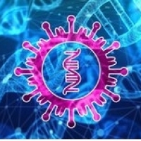 covid-19, коронавірус, гены, sars-cov-2: Схільнасць да коронавірусу зафіксавана ў нашай ДНК? Генетыкі адзначаюць некаторыя схільнасці: