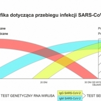 Układ odpornościowy, testy genetyczne, testy serologiczne, koronawirus w Polsce, covid-19, sars-cov-2, koronawirus