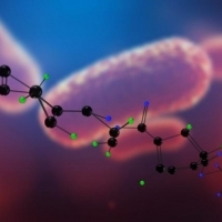 Plastikowa bomba zegarowa: Wyjście z kryzysu:  Tworzywo biologiczne - uczenie się od natury:  Bio-stal: Produkcja sztucznych pajęczyn: