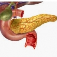 The pancreas produces hormones and pancreatic juice - substances we can't live without. Unfortunately, he doesn't warn us when he's in trouble.