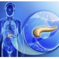 The pancreas produces hormones and pancreatic juice - substances we can't live without. Unfortunately, he doesn't warn us when he's in trouble.