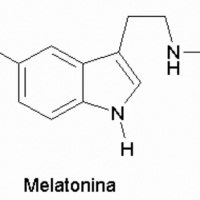 Melatonin: Melatonin wurde vor relativ kurzer Zeit entdeckt.