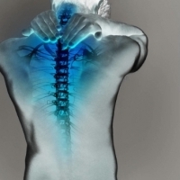10 основных упражнений, чтобы избежать болей в спине: