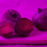Rote Beete: Eisen, Kalium, Magnesium, Calcium, Phosphor, Kupfer, Chlor, Fluor, Zink, Bor, Molybdän und Lithium