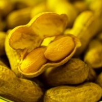 Gekochte Erdnüsse: Superfoods, die nach 40 Jahren in Ihrer Ernährung enthalten sein sollten