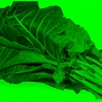 Chard: Superfoods that should be in your diet after 40 years of life