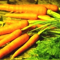 Carrots: Superfoods that should be in your diet after 40 years of life   