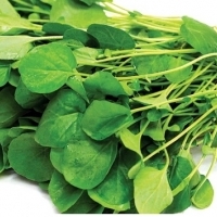 Watercress: Superfoods that should be in your diet after 40 years of life