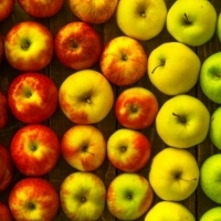 Яблоки: суперпродукты, которые должны быть в вашем рационе после 40 лет жизни