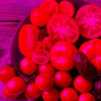 Tomatoes: Superfoods that should be in your diet after 40 years of life   