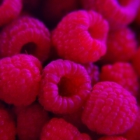 Raspberries: Superfoods that should be in your diet after 40 years of life