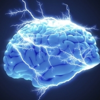 Pogłoski i mity o naszym ciele, w które nadal wierzymy: