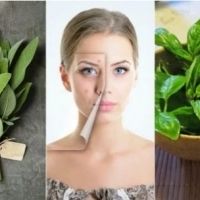 The 4 most effective plants for acne-free skin: