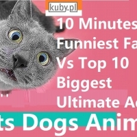 10 Minutes All Funniest Fails Vs Top 10 Biggest Ultimate Adobe.