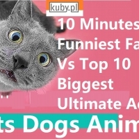 10 Minutes All Funniest Fails Vs Top 10 Biggest Ultimate Adobe.