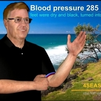 4SEASONSstop half step  DIET 2: Diet with micro-intercellular inflammations.