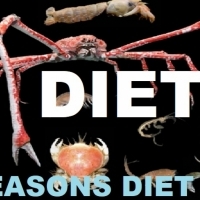 4SEASONS stop half step DIET 3: 4PORYROKU zatrzymaj się wpół kroku DIETA3: 4JAHRESZEITEN Halt an Halbschritt DIÄT3: