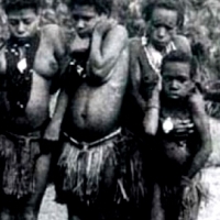 4SEASONS stop half step DIET 7:4PORYROKU zatrzymaj się wpół kroku DIETA7: 4JAHRESZEITEN Halt an Halbschritt DIÄT7: