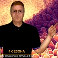 4SEASONS stop half step DIET 7:4PORYROKU zatrzymaj się wpół kroku DIETA7: 4JAHRESZEITEN Halt an Halbschritt DIÄT7: