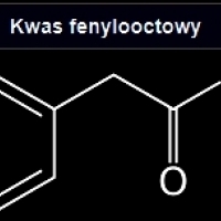 4SEASONS stop half step DIET 7:4PORYROKU zatrzymaj się wpół kroku DIETA7: 4JAHRESZEITEN Halt an Halbschritt DIÄT7: