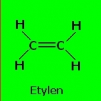 4SEASONS stop half step DIET 7:4PORYROKU zatrzymaj się wpół kroku DIETA7: 4JAHRESZEITEN Halt an Halbschritt DIÄT7: